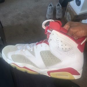Jordan 6 Retro Alternate Hare